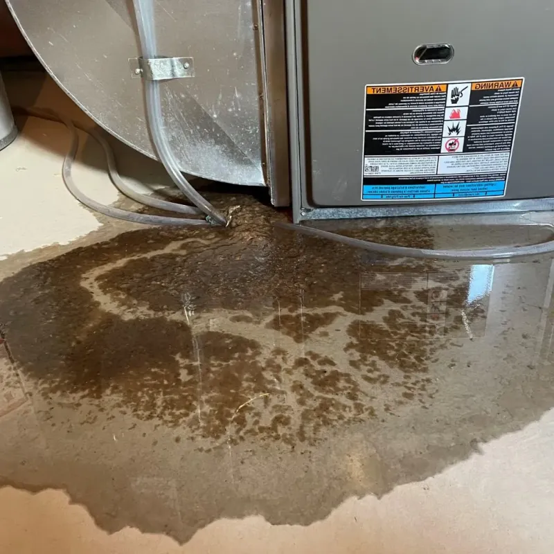 Pipe Burst and Leak Restoration in Aldan, PA